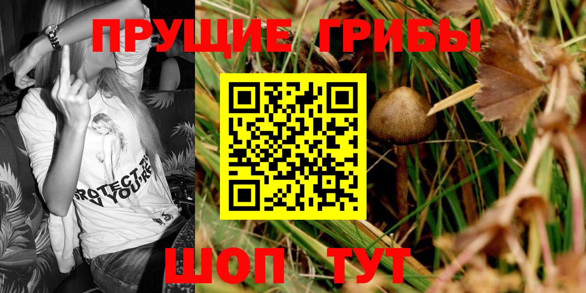 Псилоцибиновые грибы мицелий Губкинский