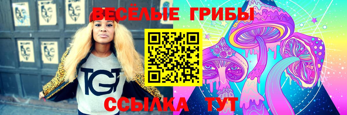 Псилоцибиновые грибы GOLDEN TEACHER  Вход с VPN  Губкинский  Галлюциногенные грибы ЛСД 